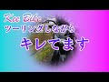 Ninja250R乗りがソロツーリング中に一人でキレてます。【 #ninja250r #バイク乗りとして軽く自己紹介 #ツーリング 】