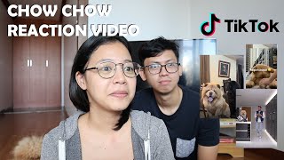 CHOWCHOW Tiktok Reaction Video PART 1 (Vlog#85)
