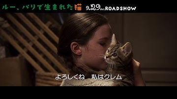 子猫ルーと映画の主人公である少女の愛らしい出会いのシーンを捉えた『ルー、パリで生まれた猫』本編映像