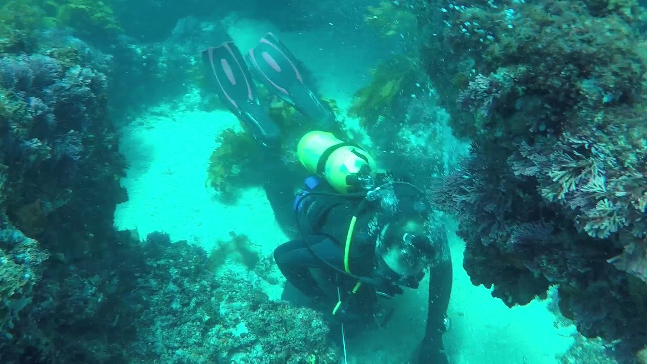 Geraldton SCUBA dive YouTube