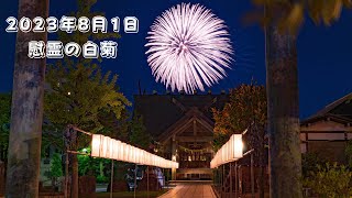 4K] 「慰霊の白菊 3発」 長岡花火2023 8月1日 White Chrysanthemum