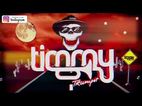 Timmy Trumpet - Oracle (TNT REMIX) (Official Music Video)