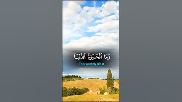 تلاوات خاشعة ٫ راحة نفسية ♥️🤍