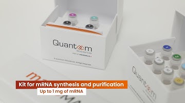 Quantoom Ntensify™️ mano - All-in-one mRNA production kit