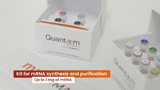 Quantoom Ntensify Mano - All-In-One Mrna Production Kit