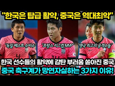 [중국반응] “한국은 정상급, 중국은 역대최악” 선수들의 탑급 활약에 감탄과 부러움 터지는 중국 (손흥민, 이강인, 김민재, 황희찬)