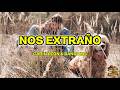 Carín León &amp; Banda MS - Nos Extraño (Letra - Lyrics)