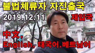 [20회] 불법체류자자진출국 자진신고 법무부 출입국정책 2019.12.11일 시행 재입국/합법화