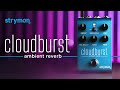 Video: STRYMON CLOUDBURST REVERB