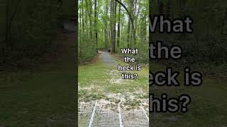 What The Heck Is This? #southcarolina #walkingtrails