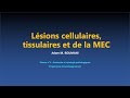 Acp  lsions cellulaires tissulaire et de la mec