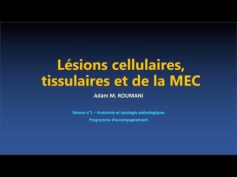 Vidéo: Quel est le but de la décoloration dans n'importe quelle teinture différentielle ?