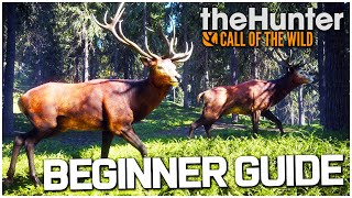 The Hunter Call of the Wild Tips and Tricks for Beginners! screenshot 1