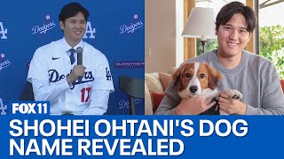 Shohei Ohtani reveals name of his dog