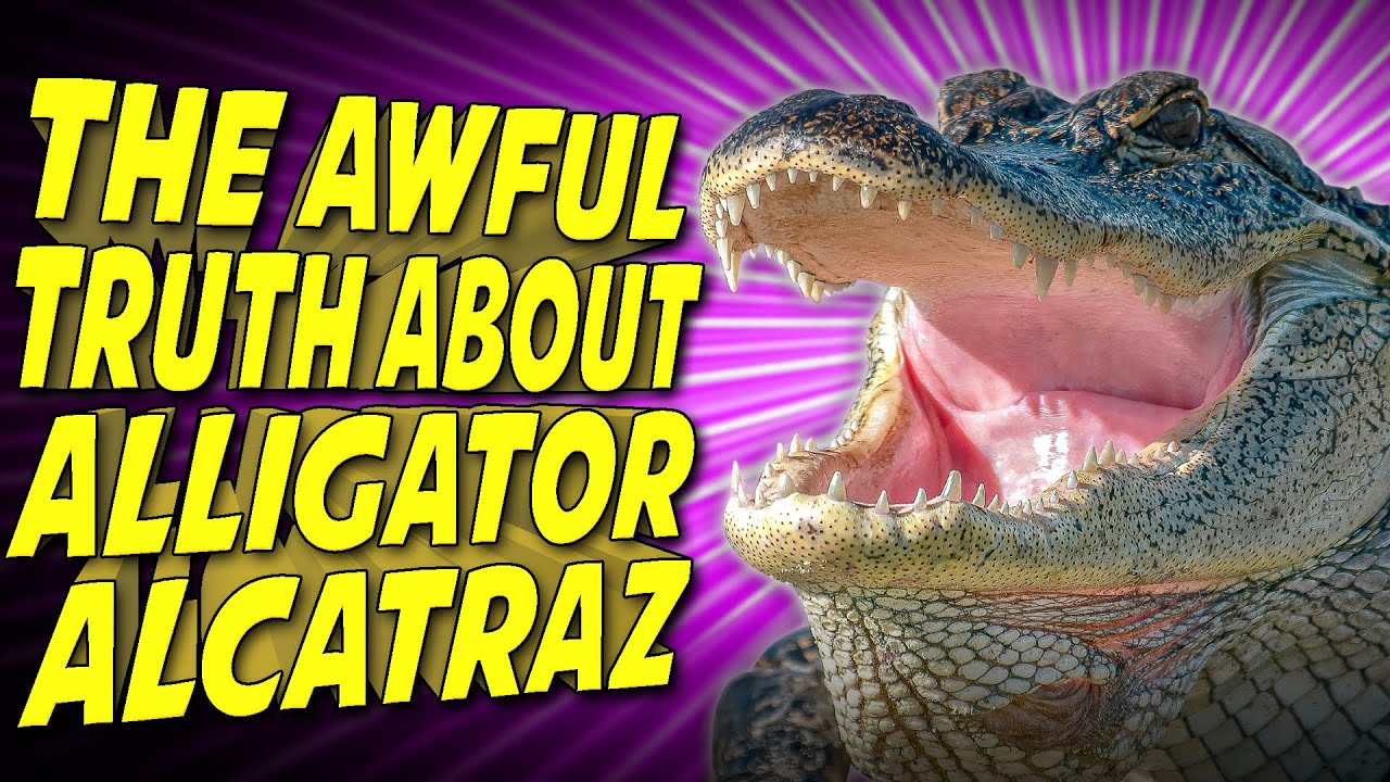 Florida's "Alligator Alcatraz" Is Even Worse Than You Think...