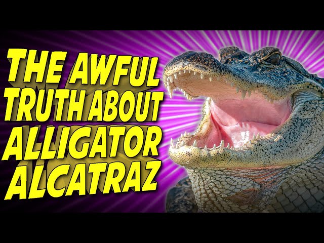 Redbubble The Blue Nile T Shirt 10 Year Years Anniversary Card