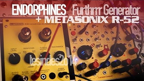 ENDORPHINES FURTHRRRR + METASONIX R-52 Multimode Filter