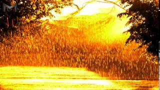 Warm Rain (EXT) - Apollo Brown