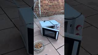 Microwave exploded #microwave #fail #explosion