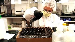 Compounding Pharmacy Investigation Medical Course