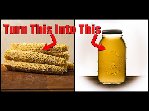 Video: Red Rot Of Corn Cobs