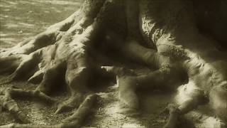 Dead Can Dance - 'Windfall'