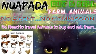 Nuapada :- Buy & Sale Farm Animals ♧ Cow, Buffalo, Sheeps - घर बैठें गाय भैंस खरीदें बेचें.. screenshot 5