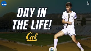 A Day In The Life Of A Division 1 Soccer Player | UC Berkeley