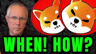 SHIBA INU Set To Soar! Find Out What WHEN SHIB Will Take Off And WHY It Will Explode!