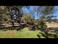 22+ Pismo Beach Camping Ground Gif