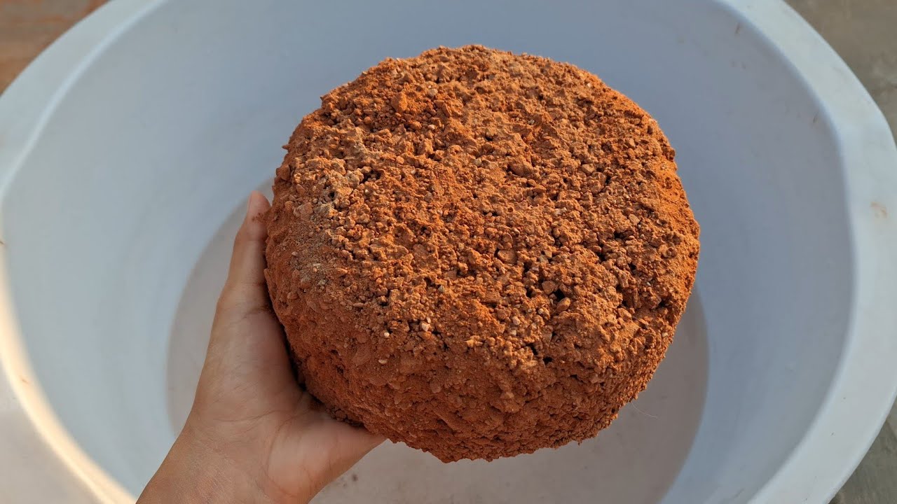 New video Red gritty dirt dedicated to @SamradhiYadav124  HBD 