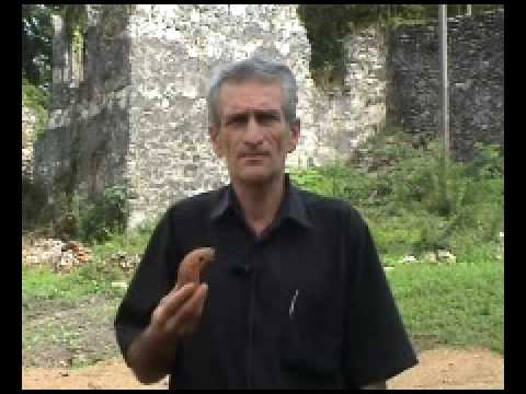 ხობის მონასტერზე მოგვითხრობს ისტორიკოსი გოგიტა ჩიტაია