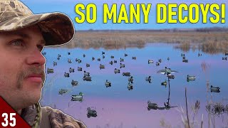 Setting A HUGE SPREAD for Ducks on PUBLIC Land (Did It Work?)