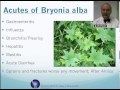 Bryonia Alba: Homeopathic Medicine -Tips For Beginners