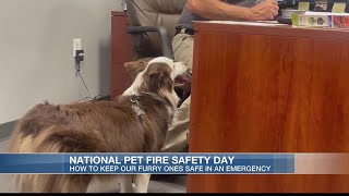 National Pet Fire Safety Day teaches importance of keeping our furry ones safe