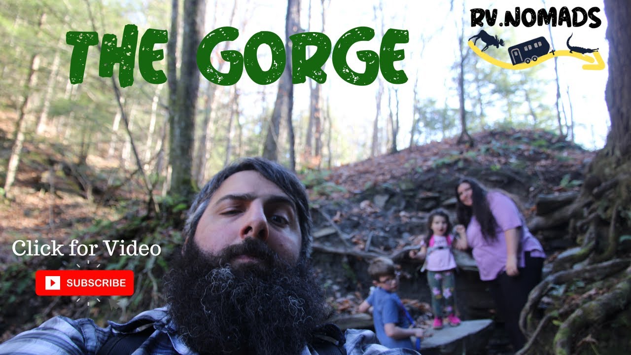 Hike to the Chautauqua Gorge. Mayville, NY in HD