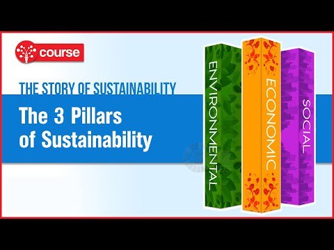 Episode 6: The 3 Pillars of Sustainability | Sustainable Development | SDG Plus