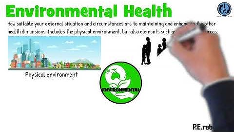 The Environmental Health Dimension - An Overview
