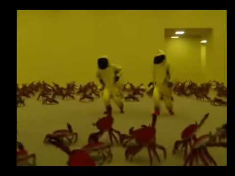 Backroom Dance//waka waka e e//crab//#memes