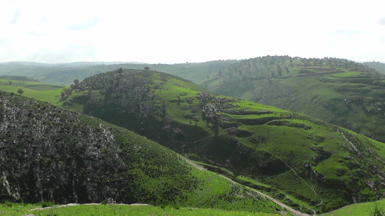 جبال وديان غابات غرب بلدة جفين شمال الاردن