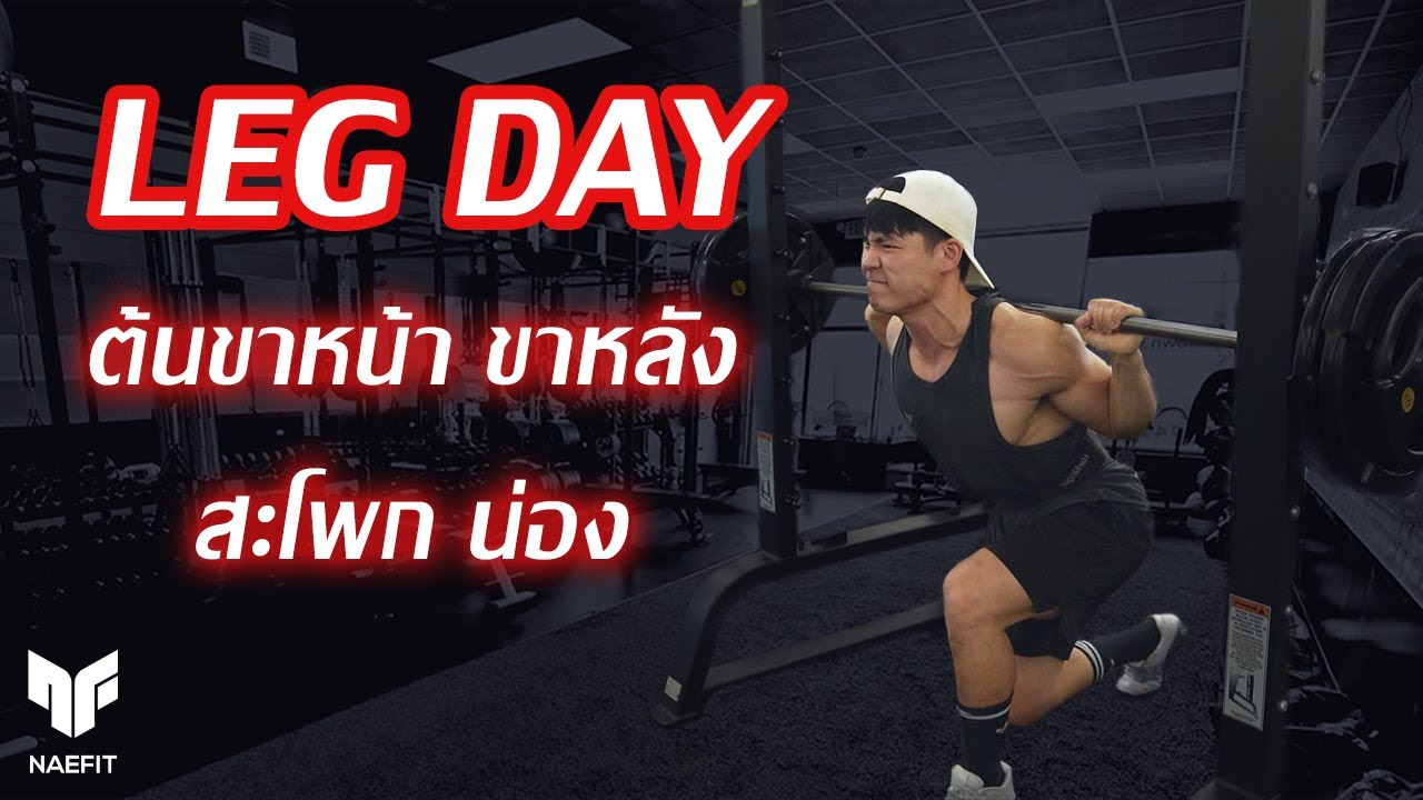 Leg Day ( ต้นขาหน้า ขาหลัง สะโพก น่อง )