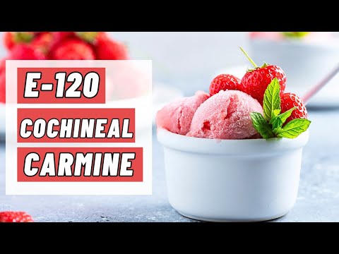 NATURAL Dye Cochineal Carmine E-120 Carminic Acid Food Additives