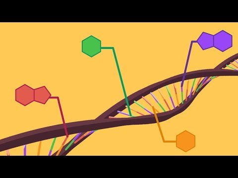 Vídeo: Què són les tecnologies de l'ADN?