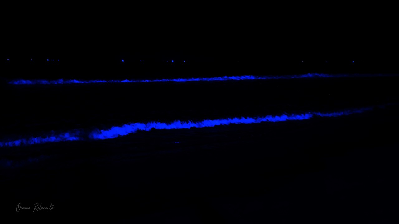 Relaxing Ocean Waves – Healing Sleep Sounds for Stress Relief and Peaceful Good Sleep