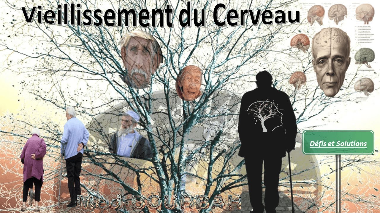 Vieillissement du Cerveau : Défis et Solutions pour un Vieillissement ...
