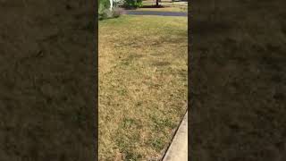 Ringing a bell at a skunk!!