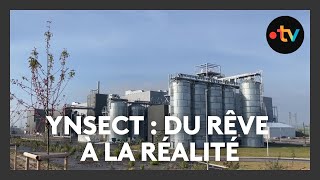 Lentreprise Ynsect Officiellement Été Placée En Liquidation Judiciaire