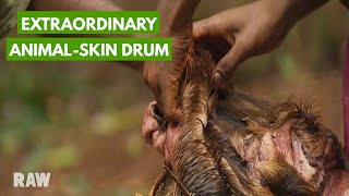 Making a drum from animal skin with the Baka Pygmies | CENTRAL AFRICAN REPUBLIC