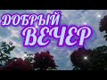 ДОБРЫЙ ВЕЧЕР! СПОКОЙНОЙ НОЧИ! Очень оригинальное пожелание Доброго  Вечера!