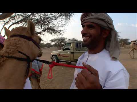 [World Theme <strong>Travel</strong>] Oman, the Land of <strong>Adventure</strong> Part 2.Treasure of the Desert